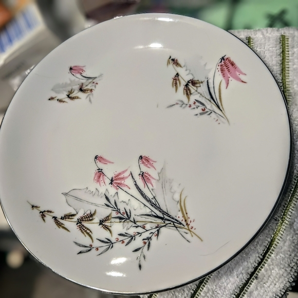 Vintage Royal Dutchess Mountain Bell Bavarian China footed cup & 6" B&B plates - Picture 7 of 8